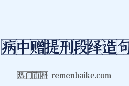 病中赠提刑段绎造句是什么意思的图片